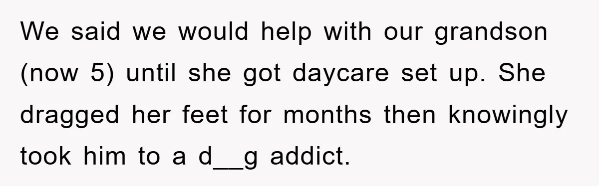 We said we would help with our grandson (now 5) until she got daycare set up. She dragged her feet for months then knowingly took him to a d__g addict.