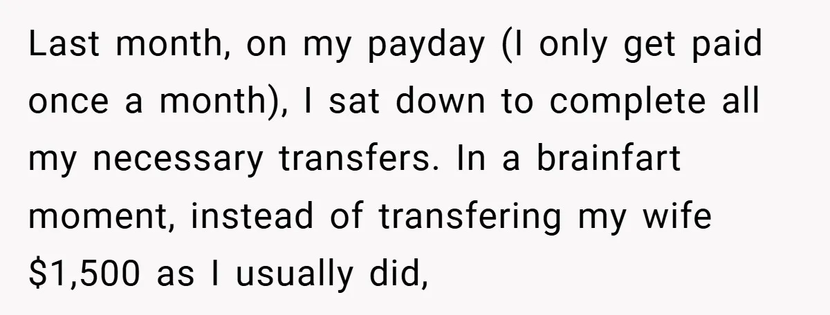 Last month, on my payday (I only get paid once a month), I sat down to complete all my necessary transfers. In a brainfart moment, instead of transfering my wife...