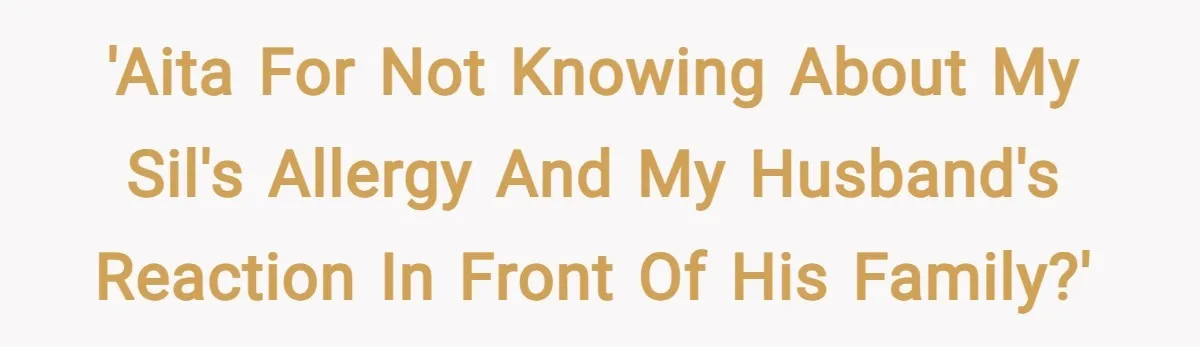 'AITA for not knowing about my SIL's allergy and my husband's reaction in front of his family?'