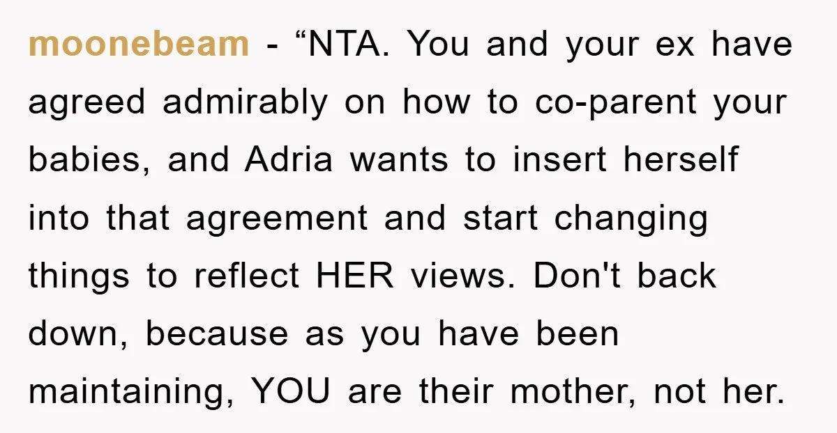 moonebeam − “NTA. You and your ex have agreed admirably on how to co-parent your babies, and Adria wants to insert herself into that agreement and start changing things to...