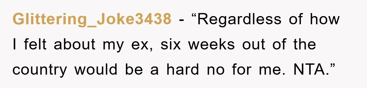 Glittering_Joke3438 − “Regardless of how I felt about my ex, six weeks out of the country would be a hard no for me. NTA.”