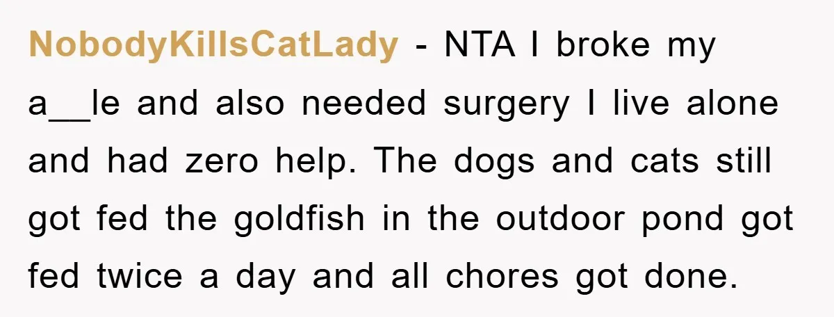 NobodyKillsCatLady − NTA I broke my a__le and also needed surgery I live alone and had zero help. The dogs and cats still got fed the goldfish in the outdoor...