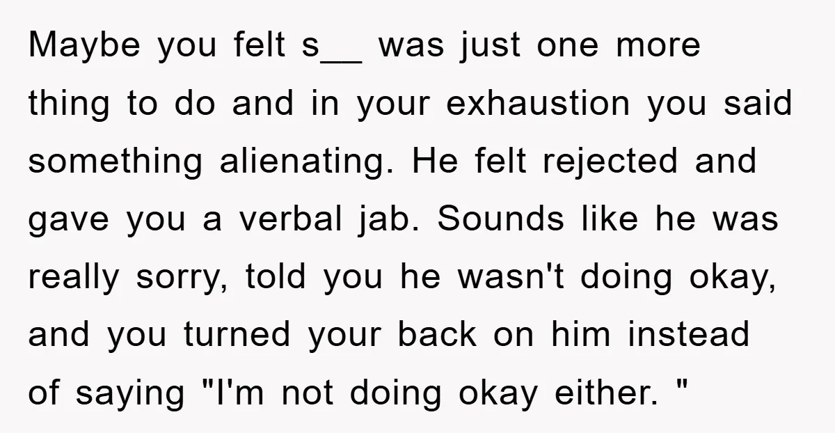 Maybe you felt s__ was just one more thing to do and in your exhaustion you said something alienating. He felt rejected and gave you a verbal jab. Sounds like...