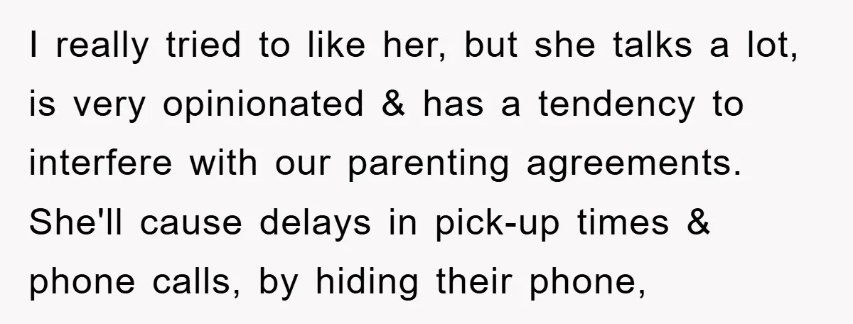 I really tried to like her, but she talks a lot, is very opinionated & has a tendency to interfere with our parenting agreements. She'll cause delays in pick-up times...