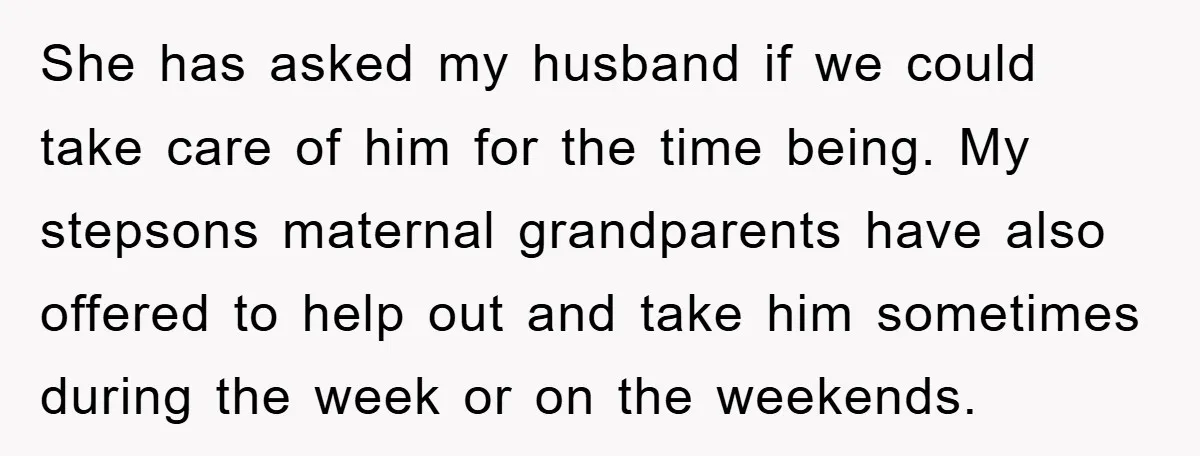 She has asked my husband if we could take care of him for the time being. My stepsons maternal grandparents have also offered to help out and take him sometimes...