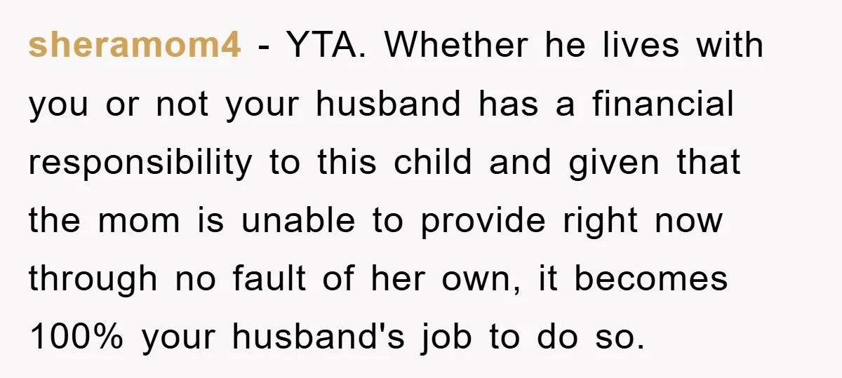 sheramom4 − YTA. Whether he lives with you or not your husband has a financial responsibility to this child and given that the mom is unable to provide right now...
