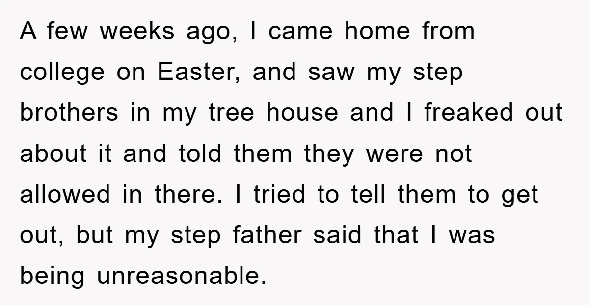 A few weeks ago, I came home from college on Easter, and saw my step brothers in my tree house and I freaked out about it and told them they...