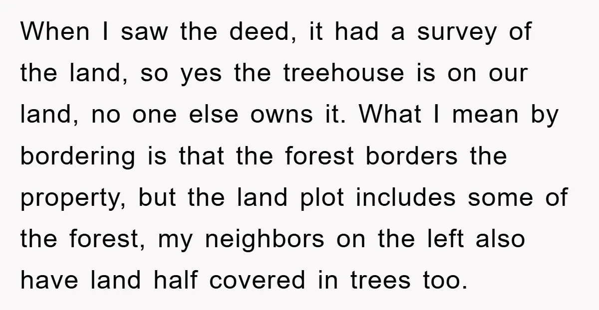 When I saw the deed, it had a survey of the land, so yes the treehouse is on our land, no one else owns it. What I mean by bordering...