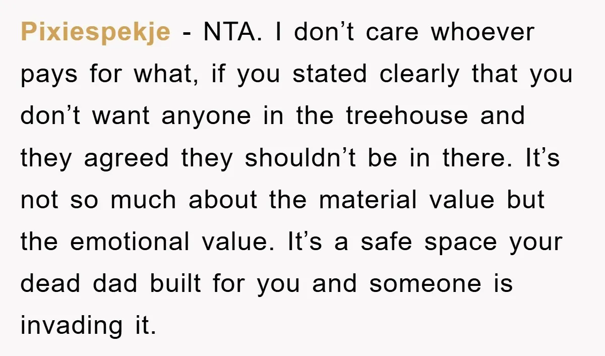 Pixiespekje − NTA. I don’t care whoever pays for what, if you stated clearly that you don’t want anyone in the treehouse and they agreed they shouldn’t be in there....