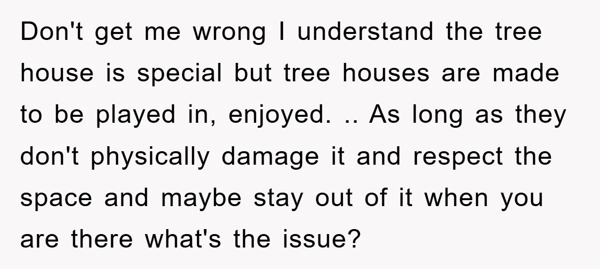 Don't get me wrong I understand the tree house is special but tree houses are made to be played in, enjoyed. .. As long as they don't physically damage it...