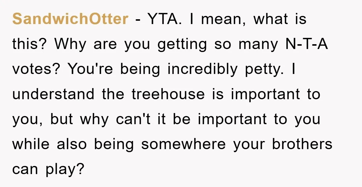 SandwichOtter − YTA. I mean, what is this? Why are you getting so many N-T-A votes? You're being incredibly petty. I understand the treehouse is important to you, but why...