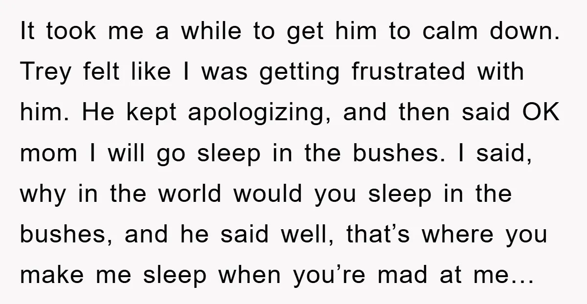It took me a while to get him to calm down. Trey felt like I was getting frustrated with him. He kept apologizing, and then said OK mom I will...