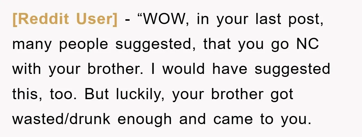 [Reddit User] - “WOW, in your last post, many people suggested, that you go NC with your brother. I would have suggested this, too. But luckily, your brother got wasted/drunk...
