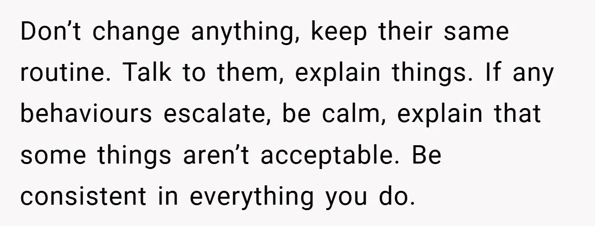 Don’t change anything, keep their same routine. Talk to them, explain things. If any behaviours escalate, be calm, explain that some things aren’t acceptable. Be consistent in everything you do.