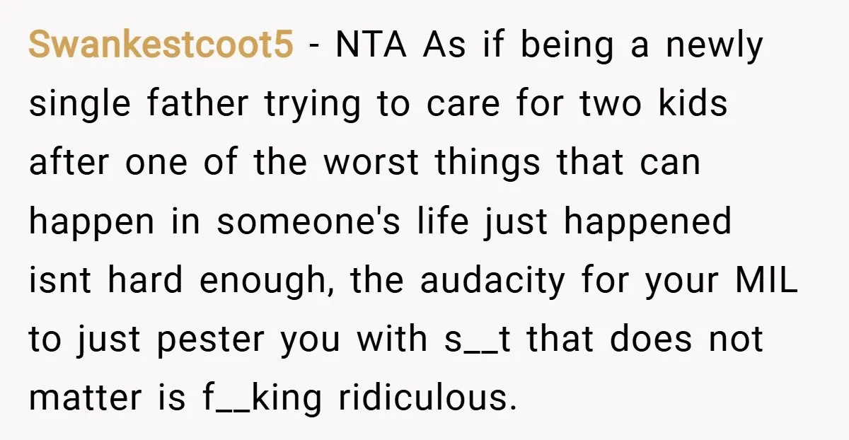 Swankestcoot5 − NTA As if being a newly single father trying to care for two kids after one of the worst things that can happen in someone's life just happened...