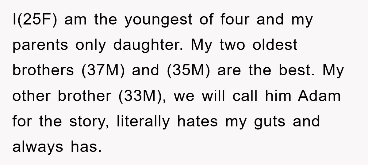 I(25F) am the youngest of four and my parents only daughter. My two oldest brothers (37M) and (35M) are the best. My other brother (33M), we will call him Adam...