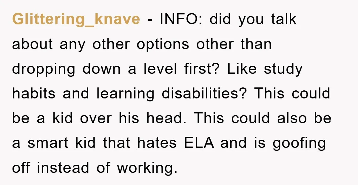 Glittering_knave − INFO: did you talk about any other options other than dropping down a level first? Like study habits and learning disabilities? This could be a kid over his...
