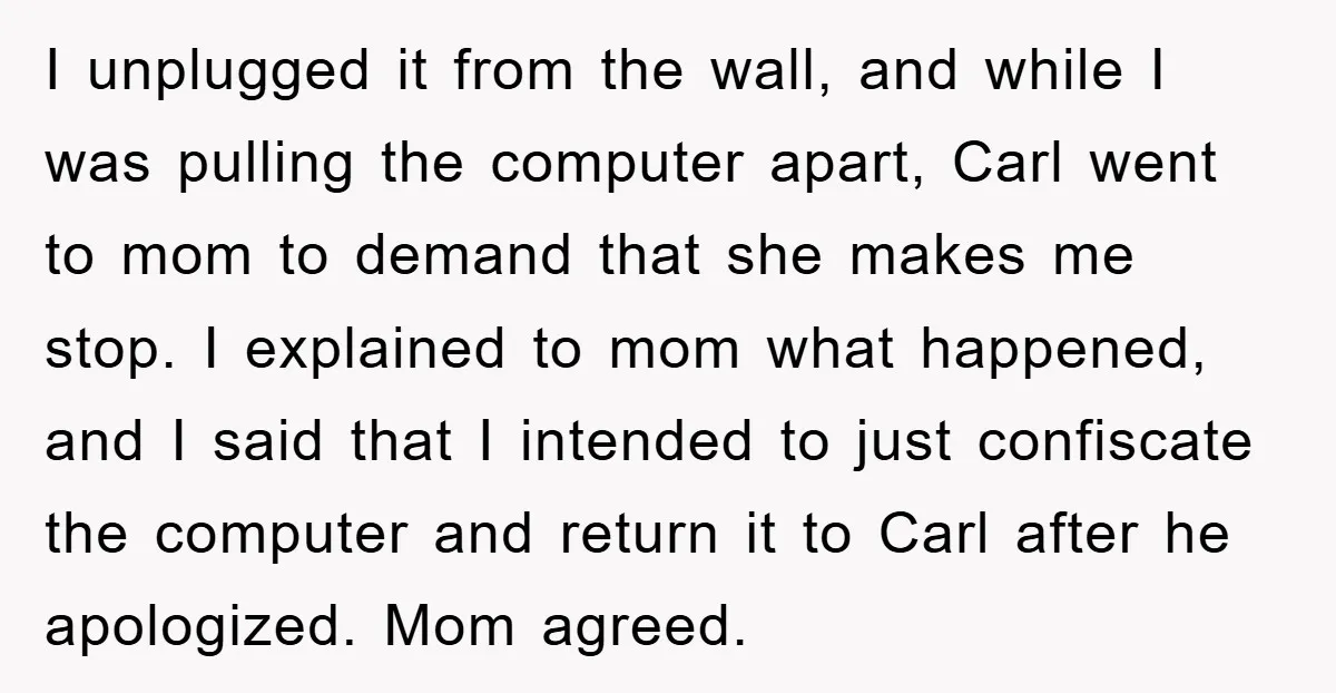 I unplugged it from the wall, and while I was pulling the computer apart, Carl went to mom to demand that she makes me stop. I explained to mom what...