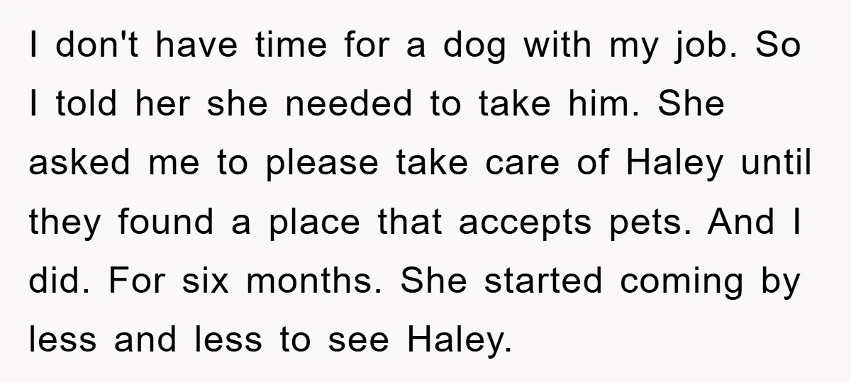 I don't have time for a dog with my job. So I told her she needed to take him. She asked me to please take care of Haley until they...