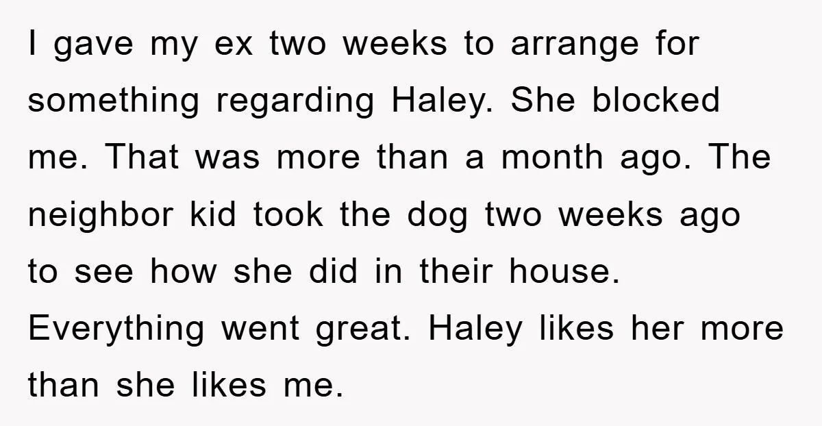 I gave my ex two weeks to arrange for something regarding Haley. She blocked me. That was more than a month ago. The neighbor kid took the dog two weeks...