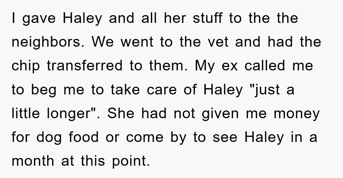 I gave Haley and all her stuff to the the neighbors. We went to the vet and had the chip transferred to them. My ex called me to beg me...