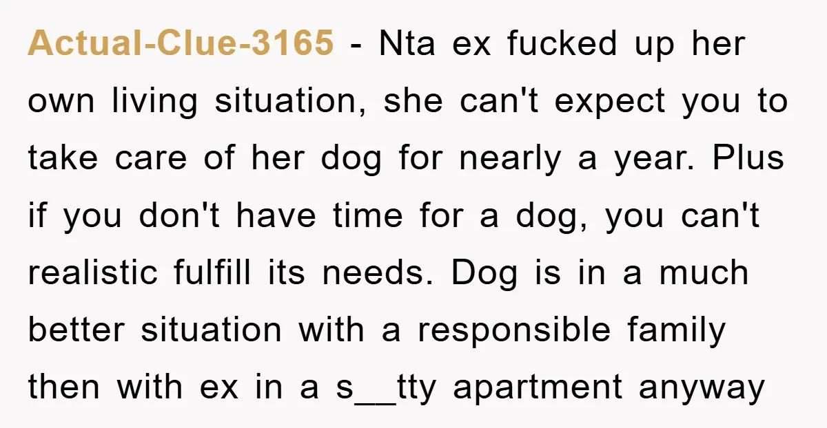 Actual-Clue-3165 − Nta ex fucked up her own living situation, she can't expect you to take care of her dog for nearly a year. Plus if you don't have time...