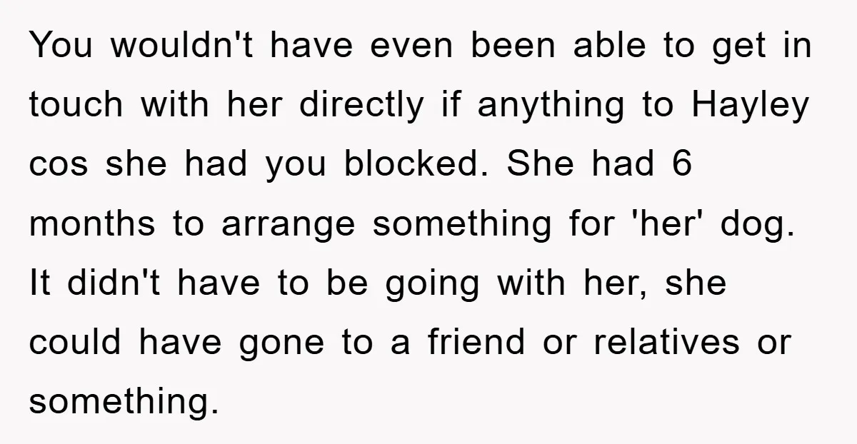 You wouldn't have even been able to get in touch with her directly if anything to Hayley cos she had you blocked. She had 6 months to arrange something for...