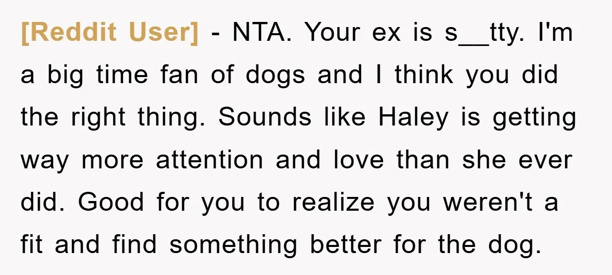 [Reddit User] − NTA. Your ex is s__tty. I'm a big time fan of dogs and I think you did the right thing. Sounds like Haley is getting way more...