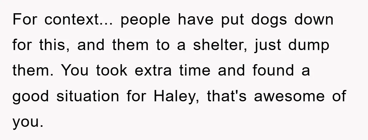 For context... people have put dogs down for this, and them to a shelter, just dump them. You took extra time and found a good situation for Haley, that's awesome...