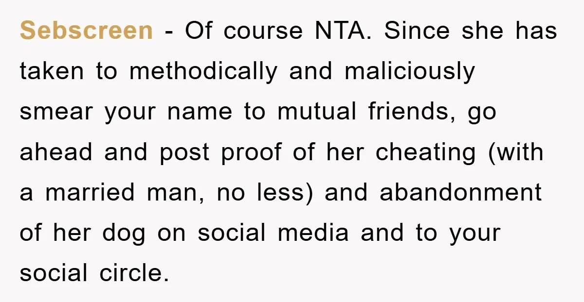 Sebscreen − Of course NTA. Since she has taken to methodically and maliciously smear your name to mutual friends, go ahead and post proof of her cheating (with a married...