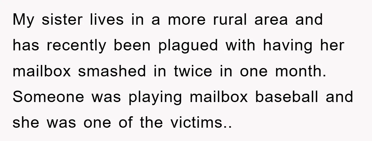 My sister lives in a more rural area and has recently been plagued with having her mailbox smashed in twice in one month. Someone was playing mailbox baseball and she...