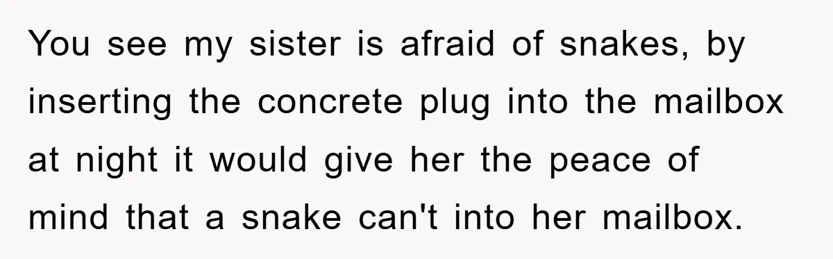 You see my sister is afraid of snakes, by inserting the concrete plug into the mailbox at night it would give her the peace of mind that a snake can't...