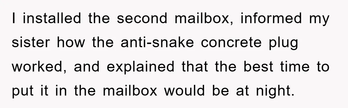 I installed the second mailbox, informed my sister how the anti-snake concrete plug worked, and explained that the best time to put it in the mailbox would be at night.