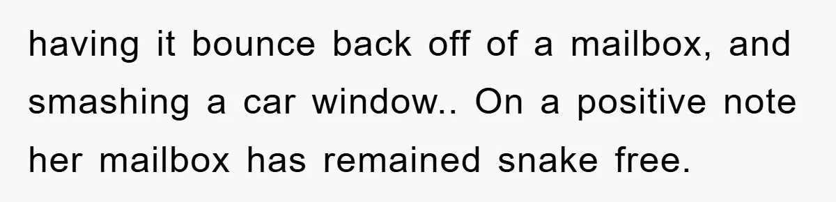 having it bounce back off of a mailbox, and smashing a car window.. On a positive note her mailbox has remained snake free.