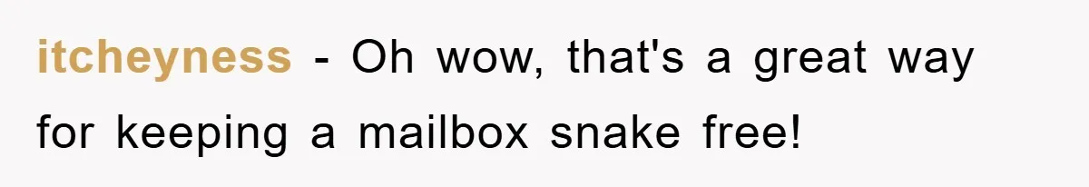 itcheyness − Oh wow, that's a great way for keeping a mailbox snake free!