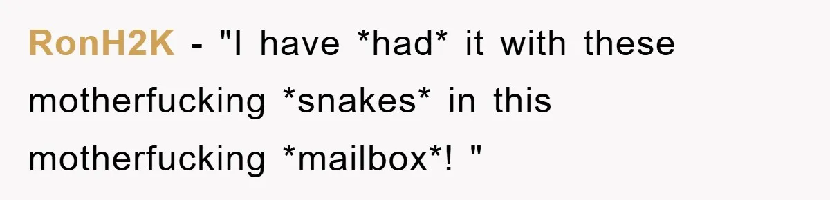 RonH2K − "I have *had* it with these motherfucking *snakes* in this motherfucking *mailbox*! "