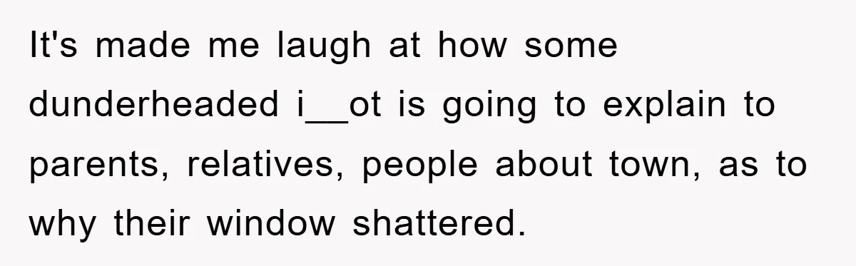 It's made me laugh at how some dunderheaded i__ot is going to explain to parents, relatives, people about town, as to why their window shattered.