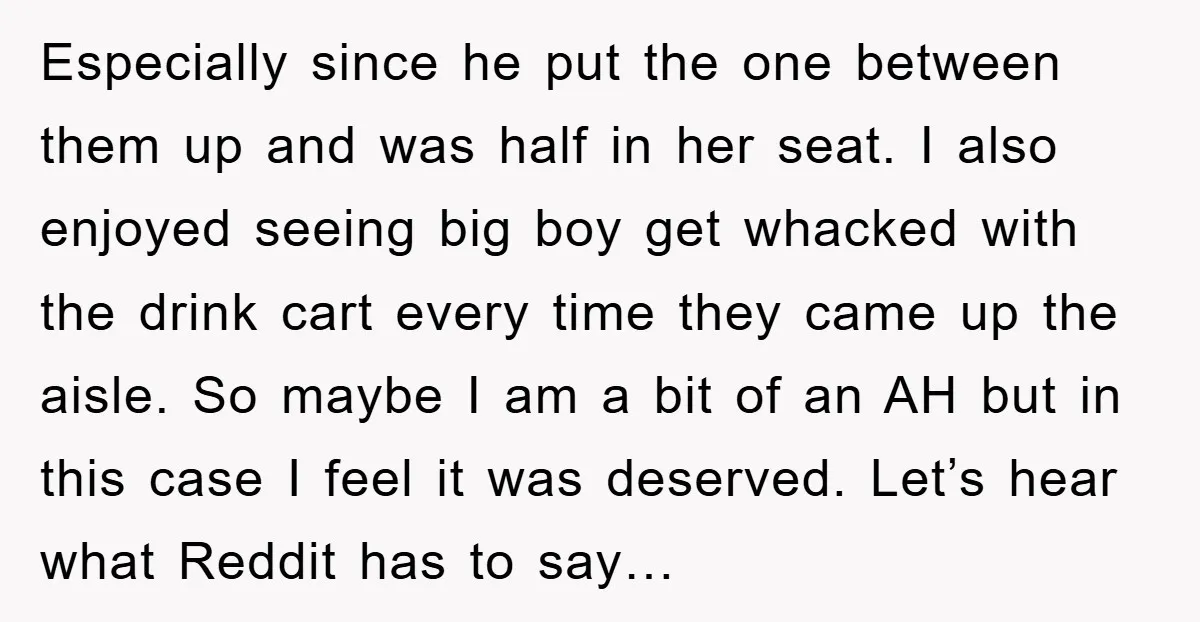 Especially since he put the one between them up and was half in her seat. I also enjoyed seeing big boy get whacked with the drink cart every time they...