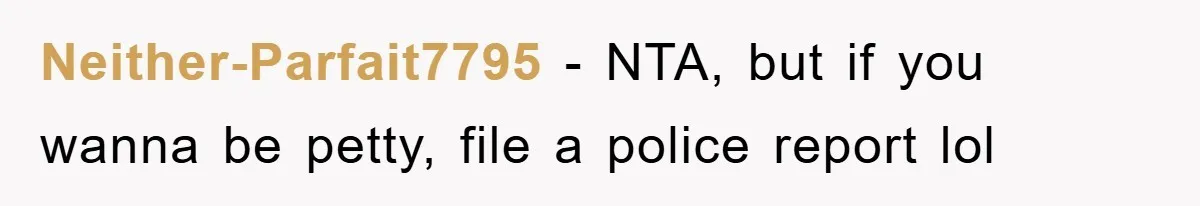 Neither-Parfait7795 − NTA, but if you wanna be petty, file a police report lol