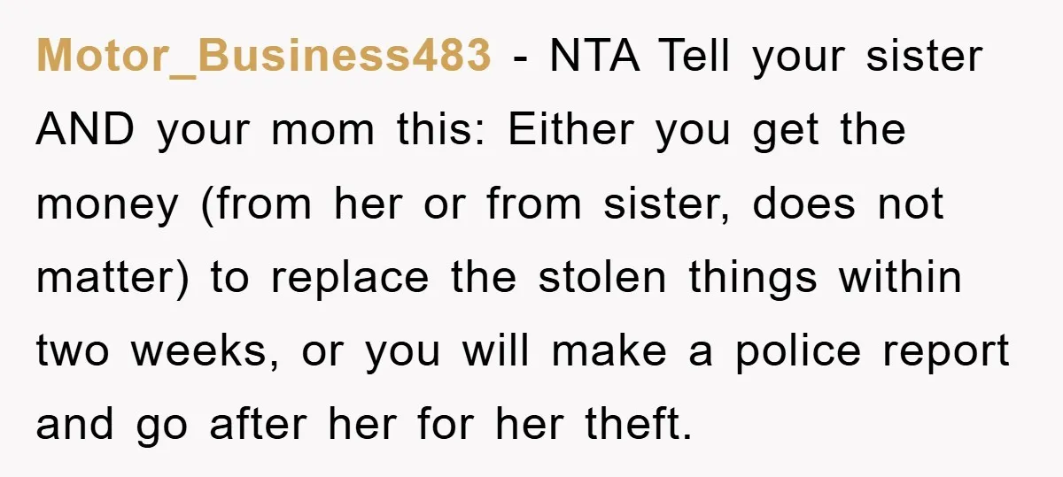Motor_Business483 − NTA Tell your sister AND your mom this: Either you get the money (from her or from sister, does not matter) to replace the stolen things within two...