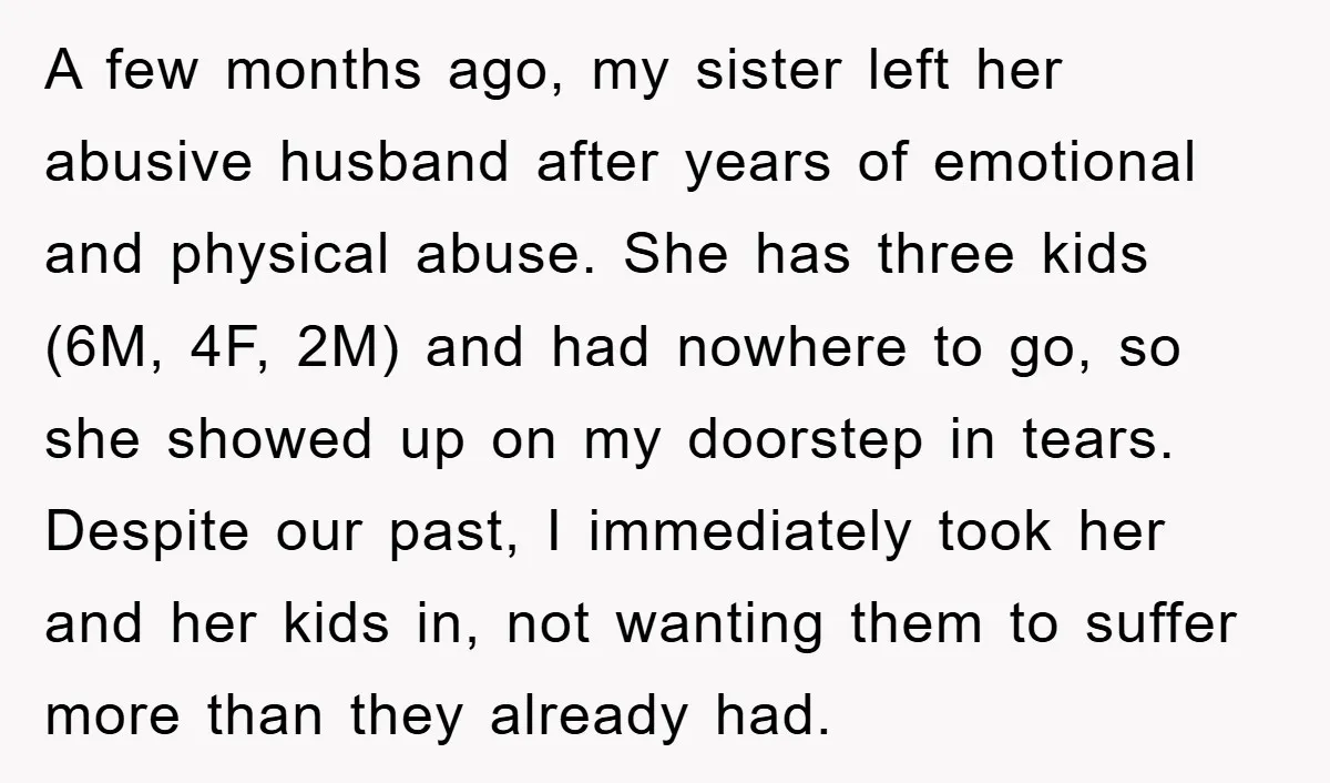 A few months ago, my sister left her abusive husband after years of emotional and physical abuse. She has three kids (6M, 4F, 2M) and had nowhere to go, so...