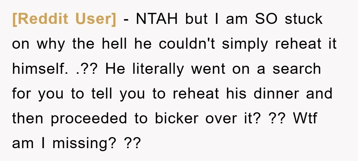 [Reddit User] − NTAH but I am SO stuck on why the hell he couldn't simply reheat it himself. .?? He literally went on a search for you to tell...