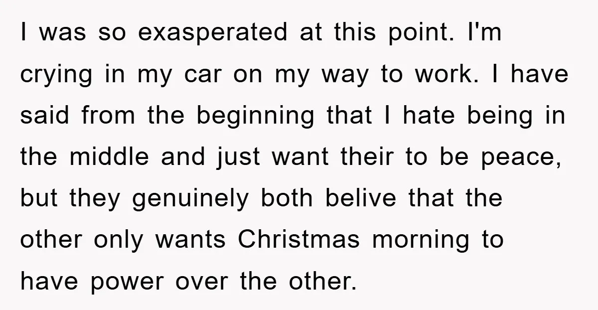 I was so exasperated at this point. I'm crying in my car on my way to work. I have said from the beginning that I hate being in the middle...