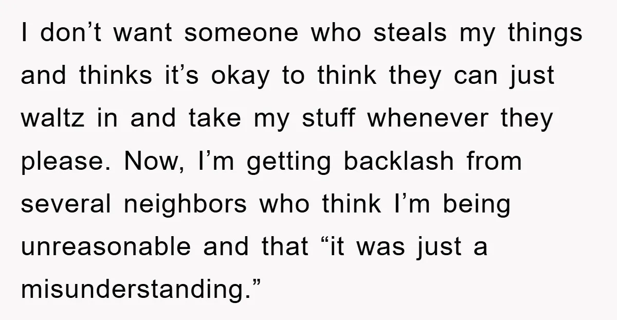 I don’t want someone who steals my things and thinks it’s okay to think they can just waltz in and take my stuff whenever they please. Now, I’m getting backlash...