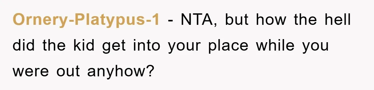 Ornery-Platypus-1 − NTA, but how the hell did the kid get into your place while you were out anyhow?