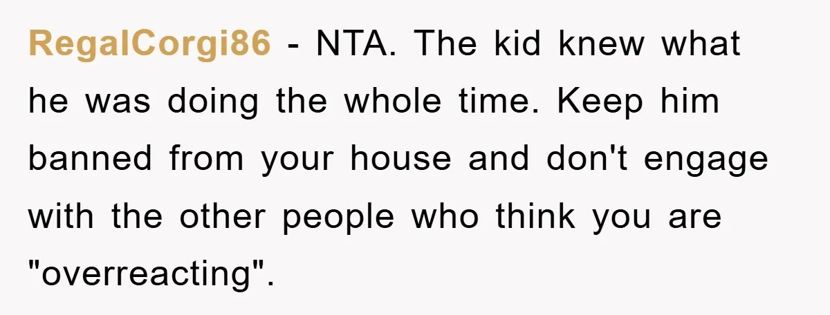 RegalCorgi86 − NTA. The kid knew what he was doing the whole time. Keep him banned from your house and don't engage with the other people who think you are...
