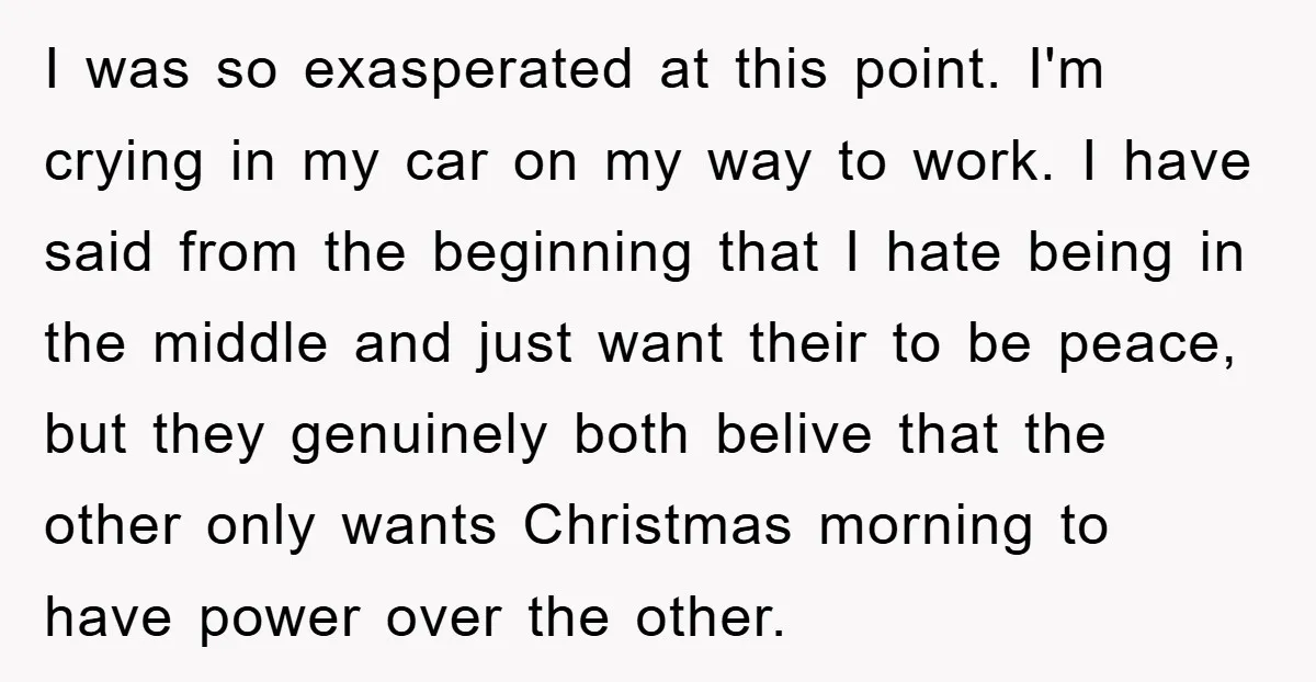I was so exasperated at this point. I'm crying in my car on my way to work. I have said from the beginning that I hate being in the middle...