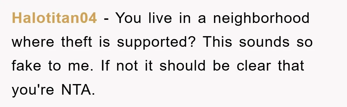 Halotitan04 − You live in a neighborhood where theft is supported? This sounds so fake to me. If not it should be clear that you're NTA.