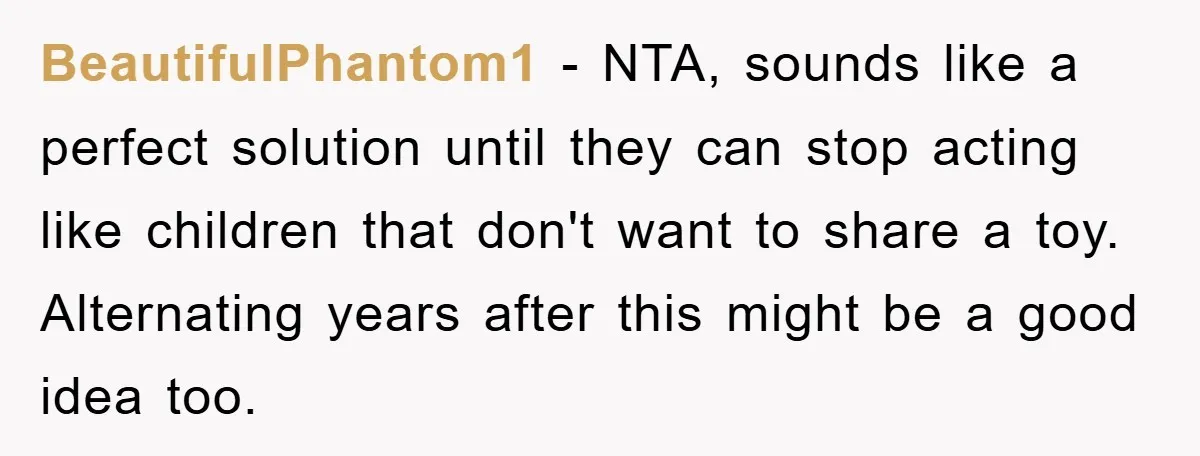BeautifulPhantom1 − NTA, sounds like a perfect solution until they can stop acting like children that don't want to share a toy. Alternating years after this might be a good...
