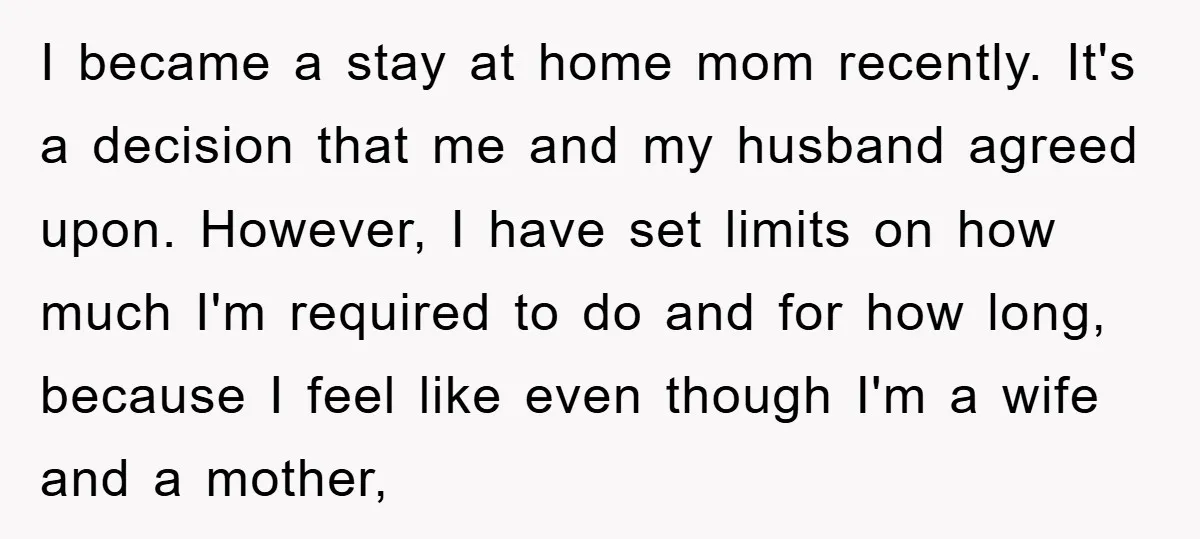 I became a stay at home mom recently. It's a decision that me and my husband agreed upon. However, I have set limits on how much I'm required to do...